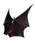 bat cloak helms vigiltln 72x90 icon wiki
