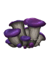 mysterious mushroom helms vigiltln 72x90 icon wiki