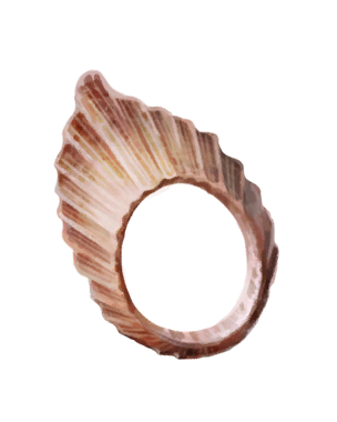 shell ring rings vigiltln icon wiki