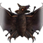 bat specimen decoration vigiltln icon 85 wiki
