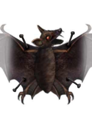 bat specimen decoration vigiltln icon wiki