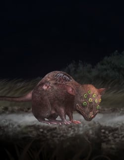 giant mouse enemies vigiltln wiki
