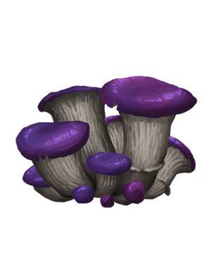 Mysterious Mushroom