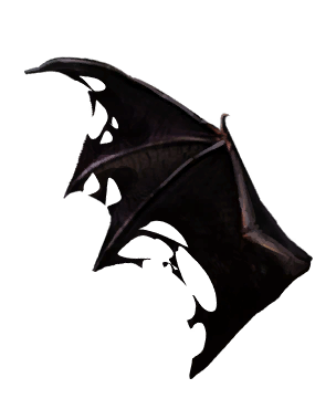 Wing of a Bat